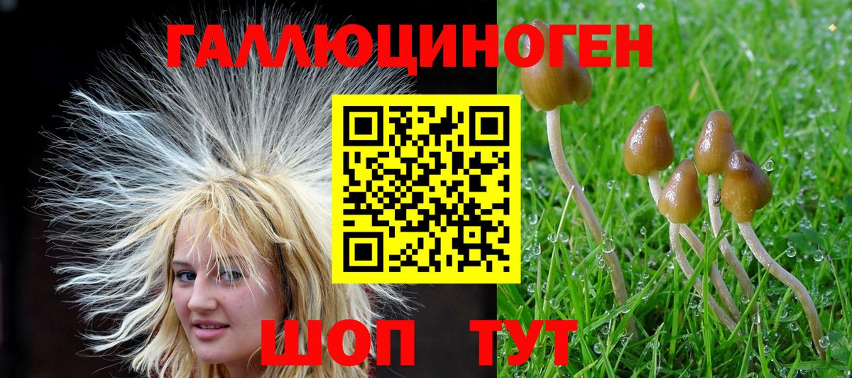 Псилоцибиновые грибы прущие грибы  Вход с VPN  Коряжма 